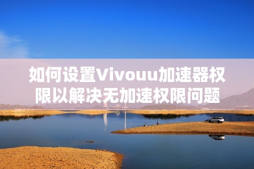 如何设置Vivouu加速器权限以解决无加速权限问题