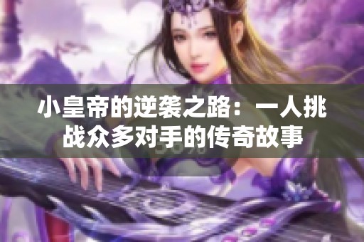 小皇帝的逆袭之路：一人挑战众多对手的传奇故事