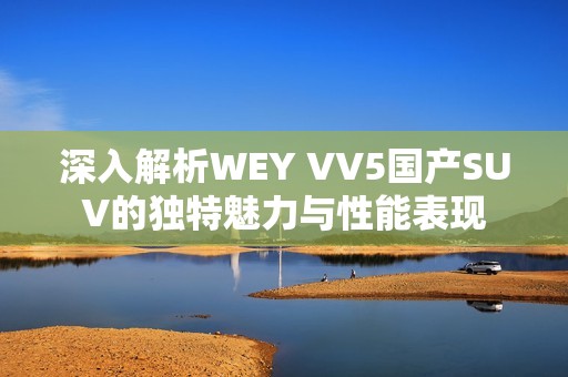 深入解析WEY VV5国产SUV的独特魅力与性能表现