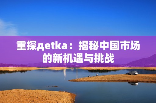 重探дetka：揭秘中国市场的新机遇与挑战