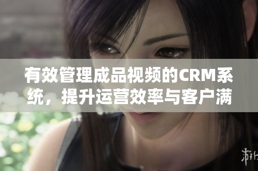 有效管理成品视频的CRM系统，提升运营效率与客户满意度