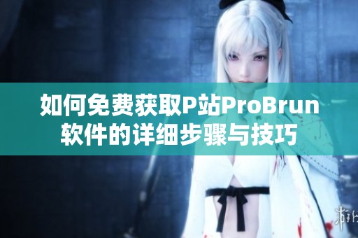 如何免费获取P站ProBrun软件的详细步骤与技巧