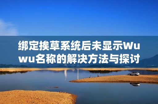 绑定挨草系统后未显示Wuwu名称的解决方法与探讨