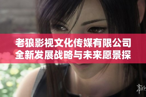 老狼影视文化传媒有限公司全新发展战略与未来愿景探讨