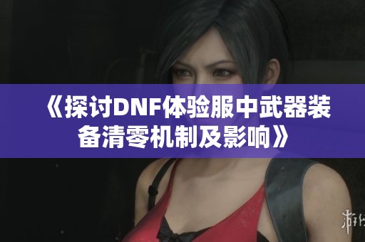 《探讨DNF体验服中武器装备清零机制及影响》