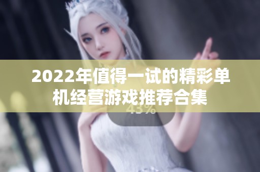 2022年值得一试的精彩单机经营游戏推荐合集