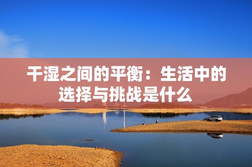 干湿之间的平衡：生活中的选择与挑战是什么