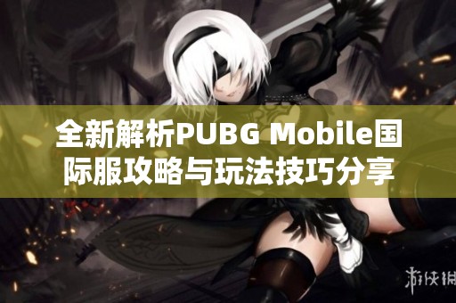 全新解析PUBG Mobile国际服攻略与玩法技巧分享