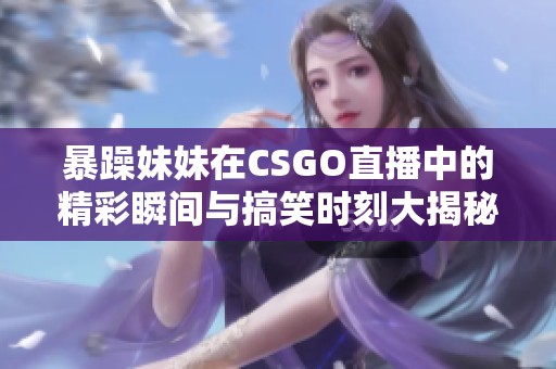 暴躁妹妹在CSGO直播中的精彩瞬间与搞笑时刻大揭秘