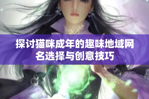 探讨猫咪成年的趣味地域网名选择与创意技巧