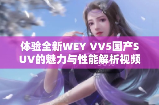 体验全新WEY VV5国产SUV的魅力与性能解析视频