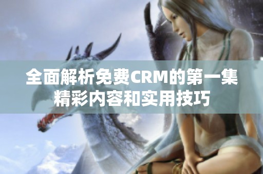 全面解析免费CRM的第一集精彩内容和实用技巧