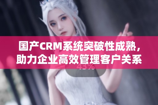 国产CRM系统突破性成熟，助力企业高效管理客户关系