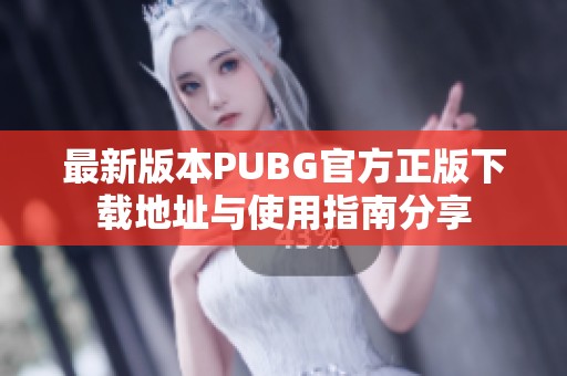 最新版本PUBG官方正版下载地址与使用指南分享