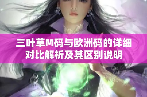 三叶草M码与欧洲码的详细对比解析及其区别说明