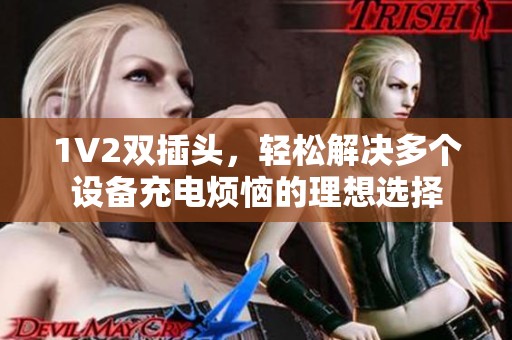 1V2双插头，轻松解决多个设备充电烦恼的理想选择