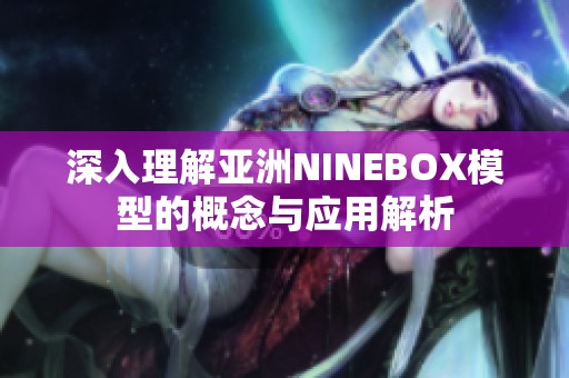 深入理解亚洲NINEBOX模型的概念与应用解析