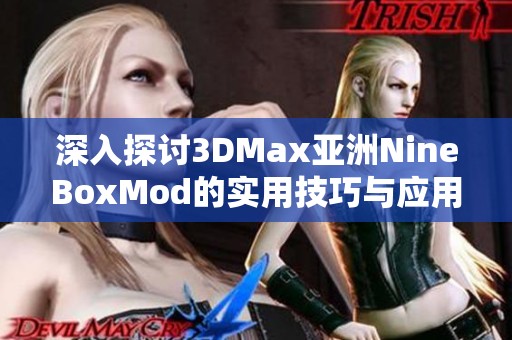 深入探讨3DMax亚洲NineBoxMod的实用技巧与应用实例