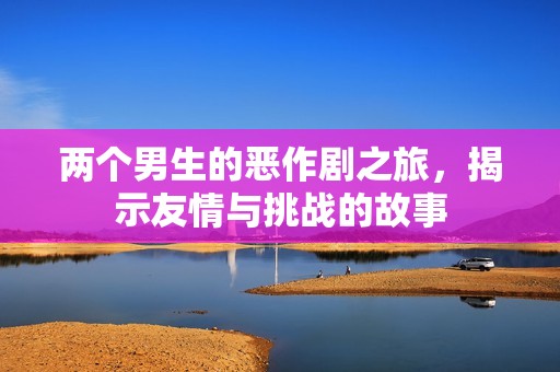 两个男生的恶作剧之旅，揭示友情与挑战的故事