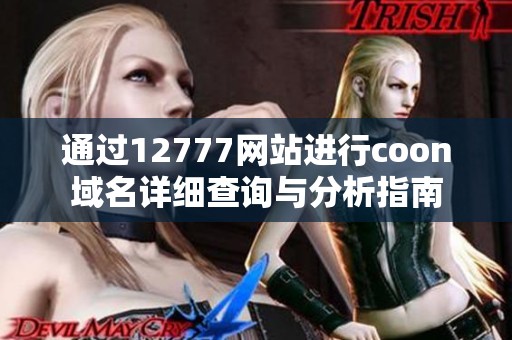 通过12777网站进行coon域名详细查询与分析指南