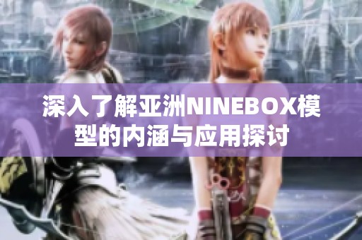 深入了解亚洲NINEBOX模型的内涵与应用探讨