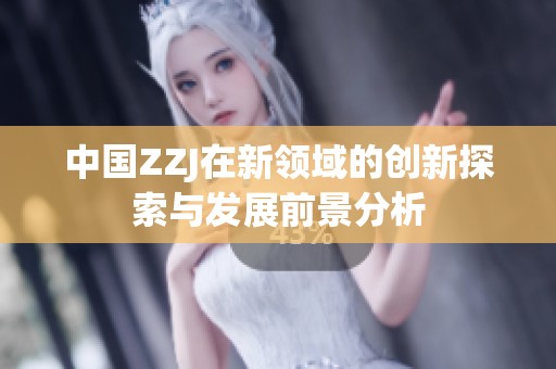 中国ZZJ在新领域的创新探索与发展前景分析