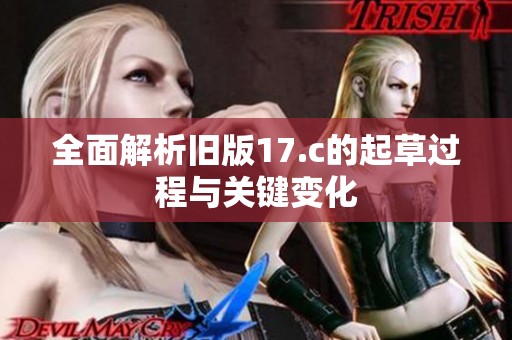 全面解析旧版17.c的起草过程与关键变化