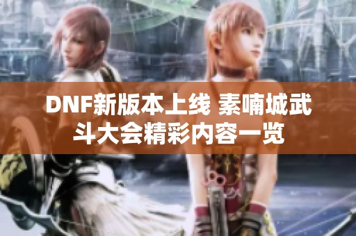 DNF新版本上线 素喃城武斗大会精彩内容一览