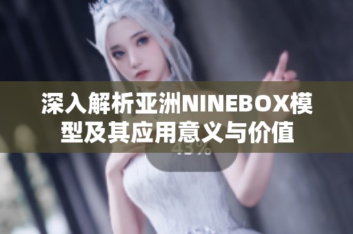 深入解析亚洲NINEBOX模型及其应用意义与价值