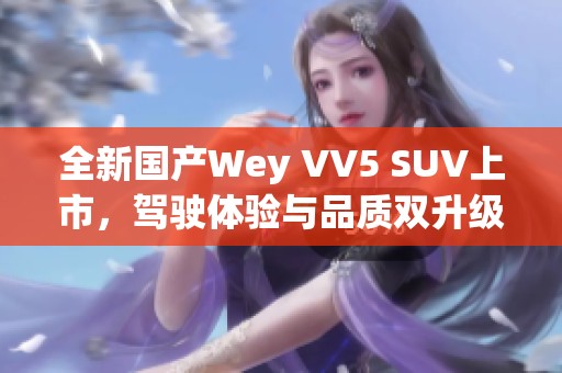 全新国产Wey VV5 SUV上市，驾驶体验与品质双升级