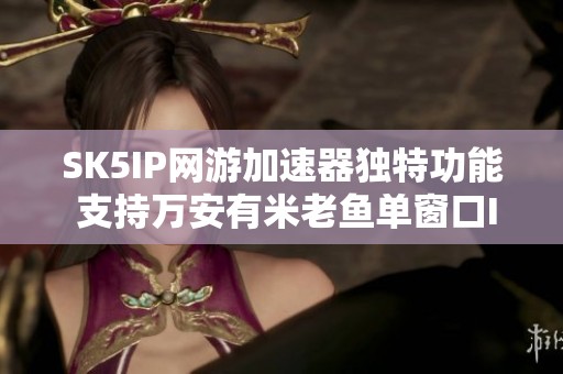 SK5IP网游加速器独特功能 支持万安有米老鱼单窗口IP重写解析