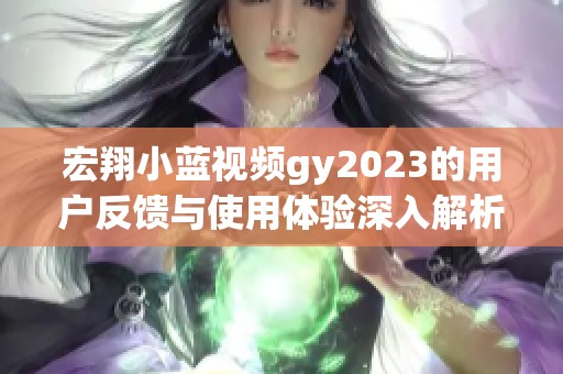 宏翔小蓝视频gy2023的用户反馈与使用体验深入解析