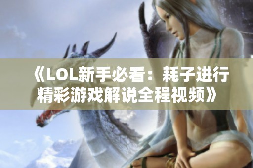 《LOL新手必看：耗子进行精彩游戏解说全程视频》