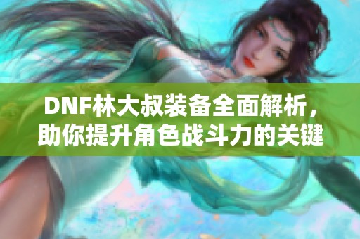 DNF林大叔装备全面解析，助你提升角色战斗力的关键攻略