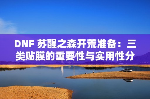 DNF 苏醒之森开荒准备：三类贴膜的重要性与实用性分析