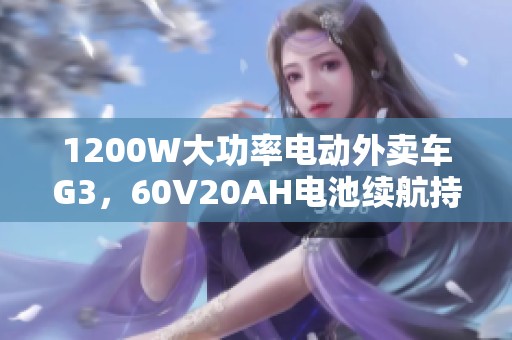 1200W大功率电动外卖车G3，60V20AH电池续航持久，适合成人使用