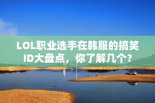 LOL职业选手在韩服的搞笑ID大盘点，你了解几个？