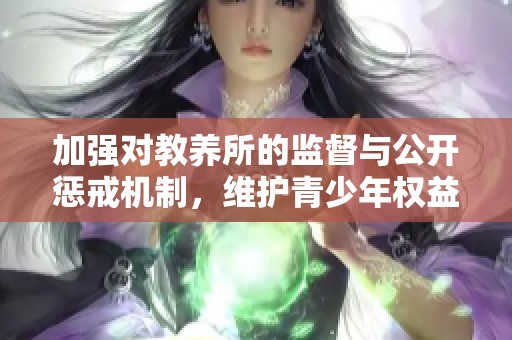 加强对教养所的监督与公开惩戒机制，维护青少年权益