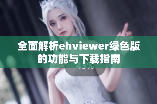 全面解析ehviewer绿色版的功能与下载指南