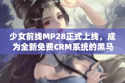 少女前线MP28正式上线，成为全新免费CRM系统的黑马