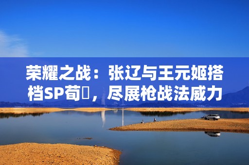 荣耀之战：张辽与王元姬搭档SP荀彧，尽展枪战法威力