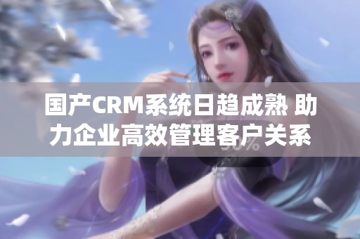 国产CRM系统日趋成熟 助力企业高效管理客户关系