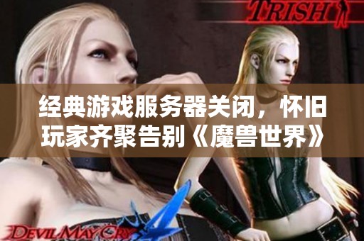 经典游戏服务器关闭，怀旧玩家齐聚告别《魔兽世界》等传奇之作