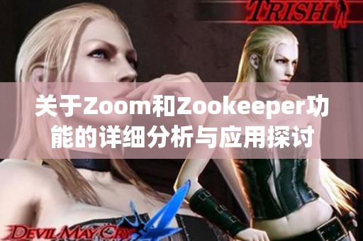 关于Zoom和Zookeeper功能的详细分析与应用探讨