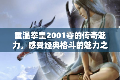 重温拳皇2001零的传奇魅力，感受经典格斗的魅力之旅