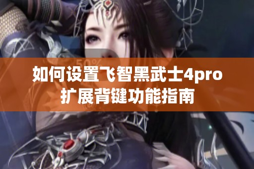 如何设置飞智黑武士4pro扩展背键功能指南