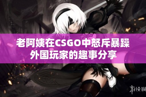 老阿姨在CSGO中怒斥暴躁外国玩家的趣事分享