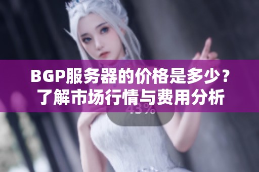 BGP服务器的价格是多少？了解市场行情与费用分析