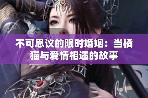 不可思议的限时婚姻：当橘猫与爱情相遇的故事