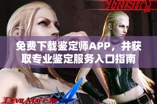 免费下载鉴定师APP，并获取专业鉴定服务入口指南